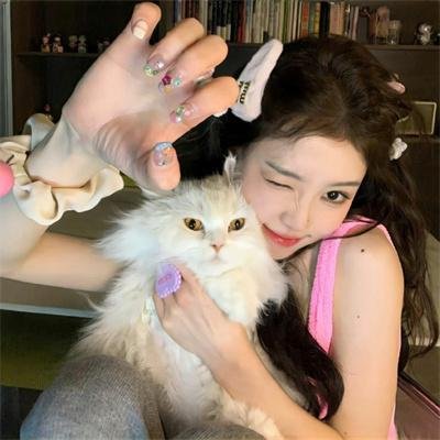 猎鹰追击